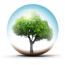 visuel-tracy-environnement