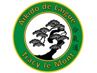 logo aikido de laigue